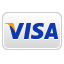 Visa® logo