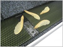 More about the '6" Black Drop In Leaf Guard-Small Hole' product